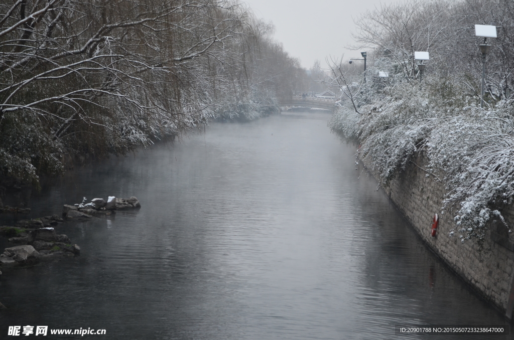 济南护城河 雪景