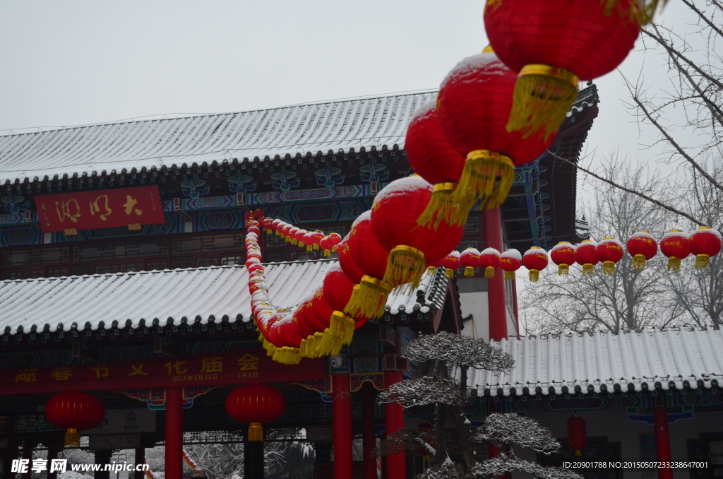 大明湖 雪景 灯笼