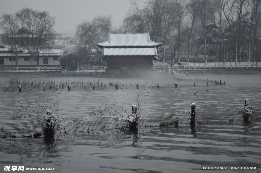 济南 大明湖 雪景