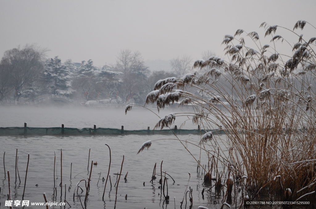 济南 大明湖 雪景