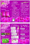 三折页美容院
