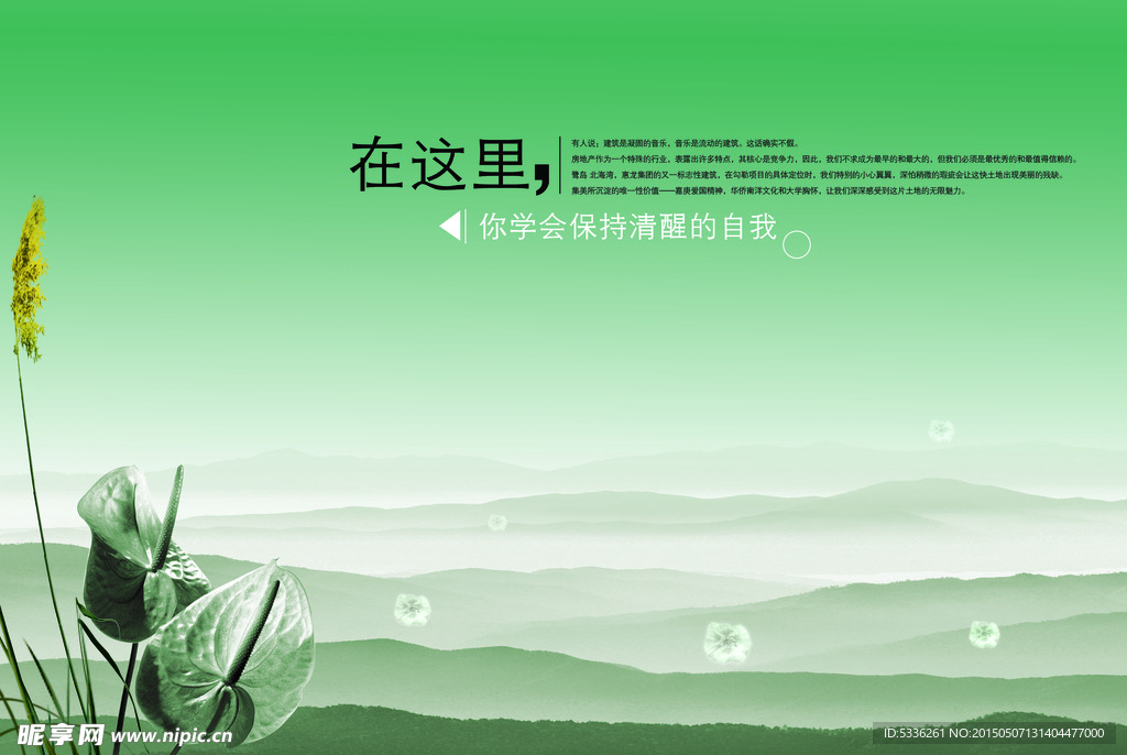 荷花意境海报