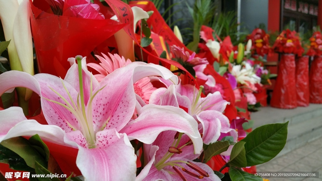 百合花