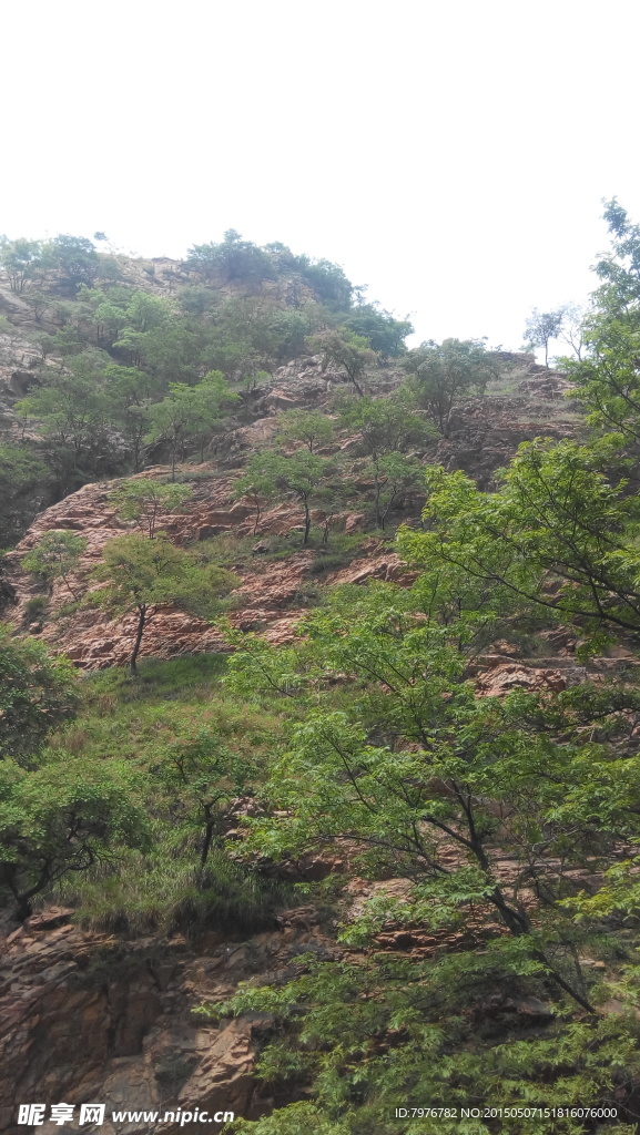 山