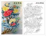 牡丹