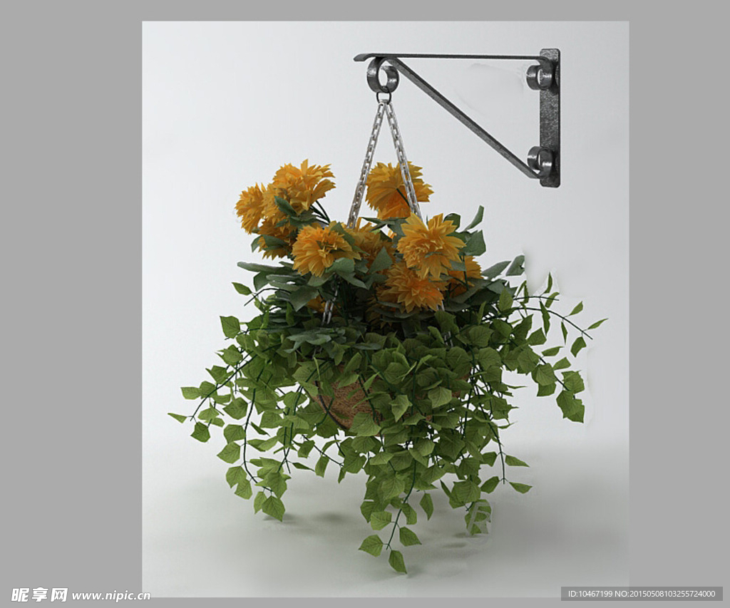 植物3D模型