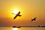 海上夕阳