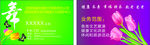 郁金香