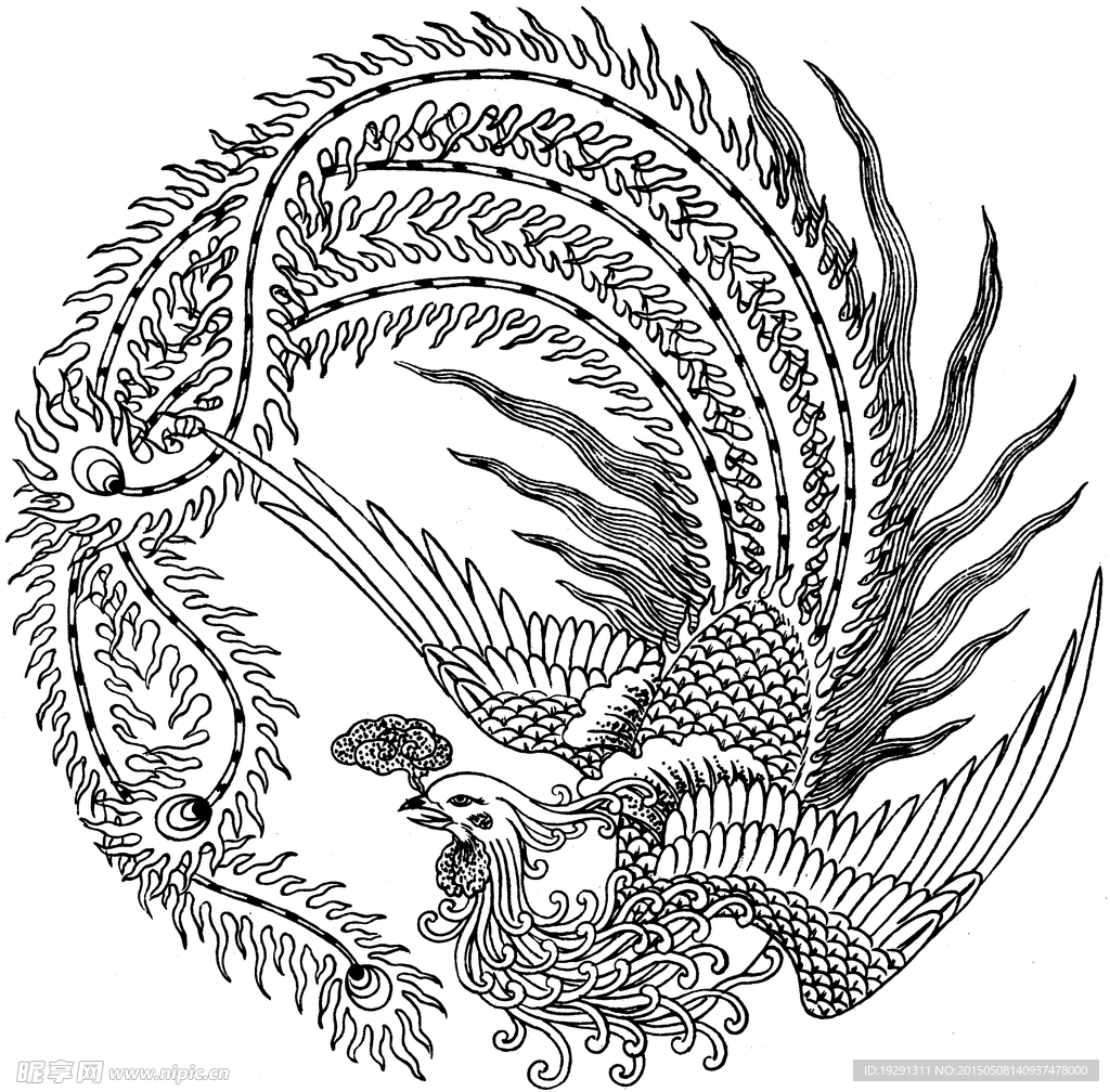 凤凰手绘