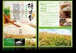 粮食彩页