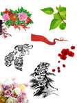 牡丹花束 心形丝带