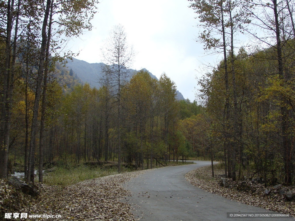 山路