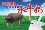 沙湾水牛奶