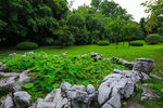 荷花池公园