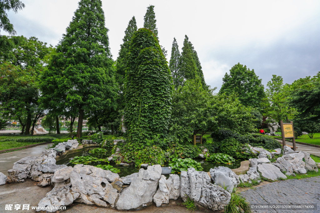荷花池公园