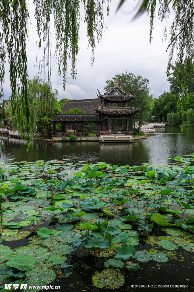 荷花池公园