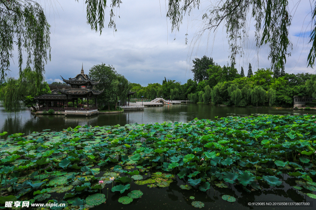 荷花池公园
