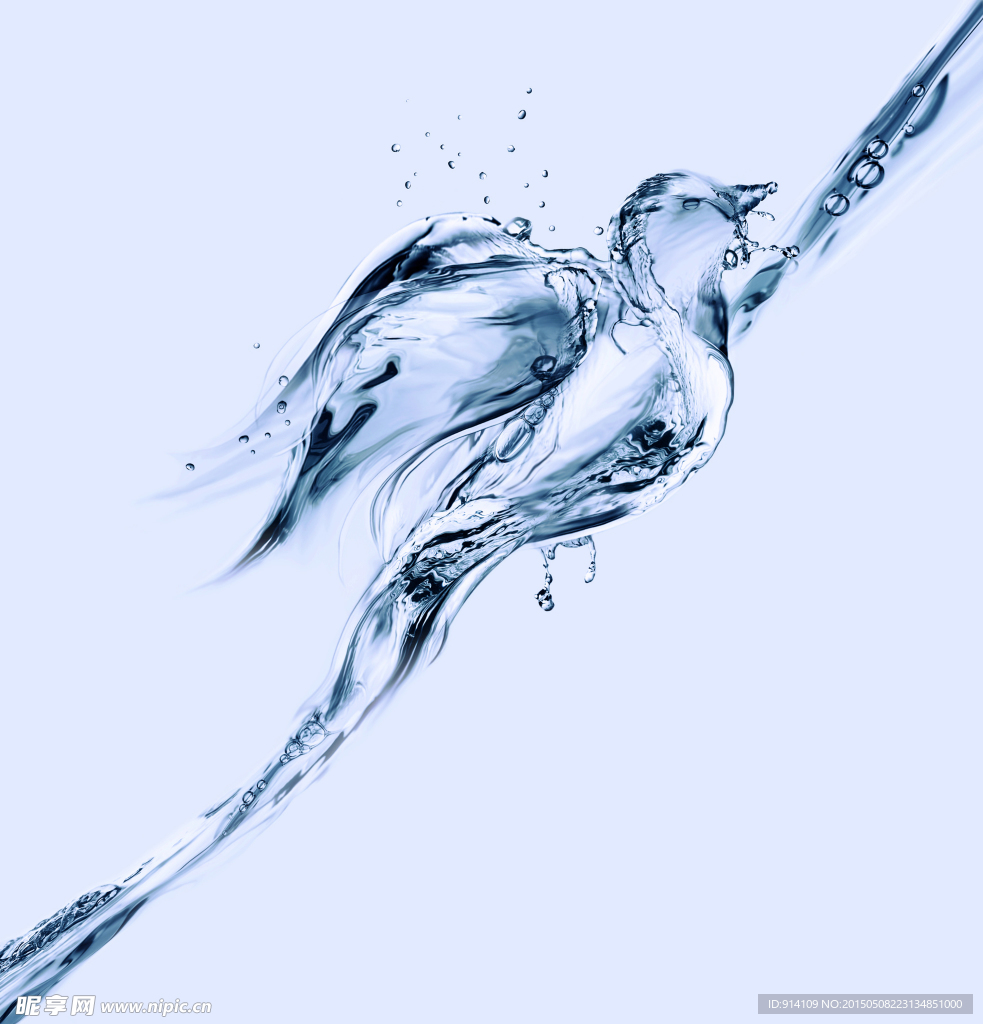 鸟水造型