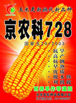 种子彩页