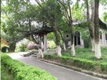 南京大学春日