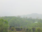 小林子
