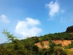 山上白云
