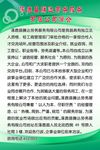 公司简介