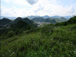 野花 城市散落山涧