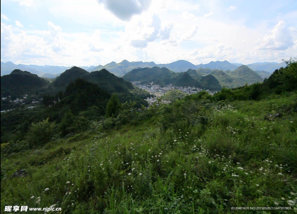 野花 城市散落山涧