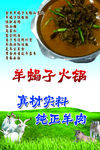 羊蝎子火锅