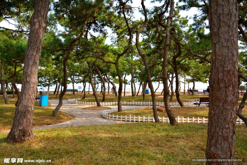 绿化风景
