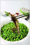 吉祥黄腊丁