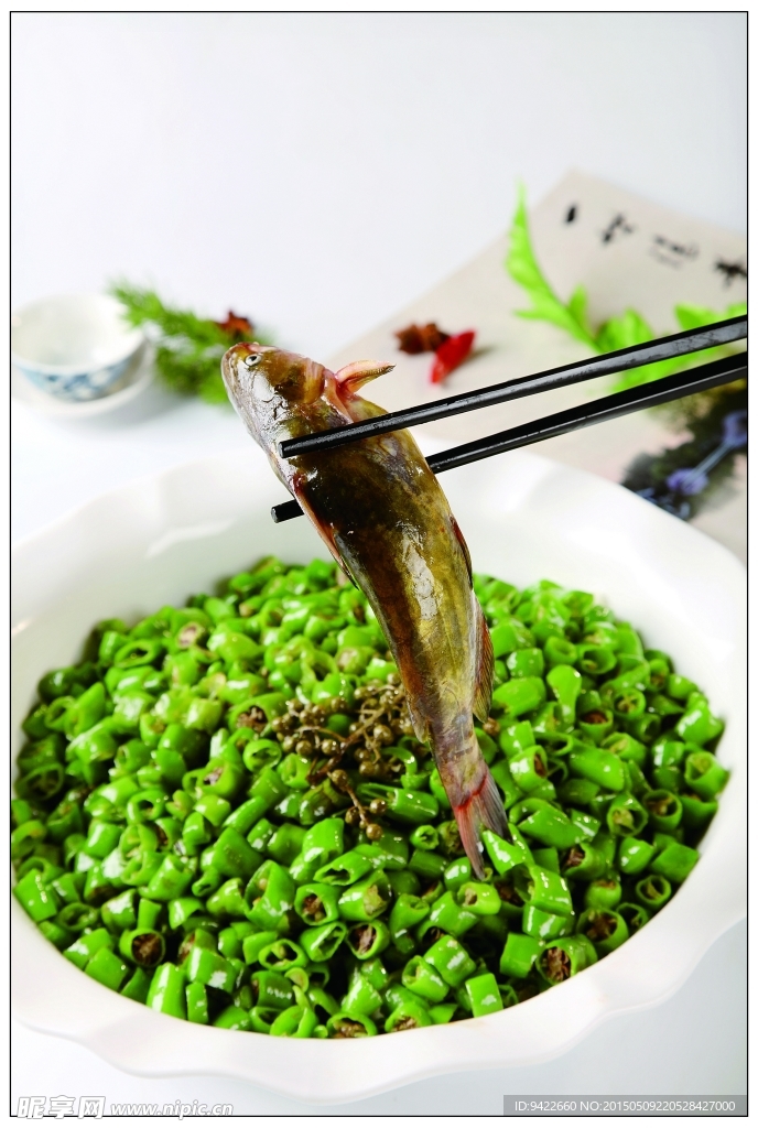 吉祥黄腊丁