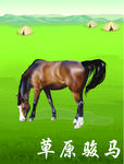 草原骏马