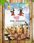 生姜海报