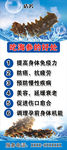 吃海参的好处