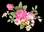 花 素材 PNG PS 实用