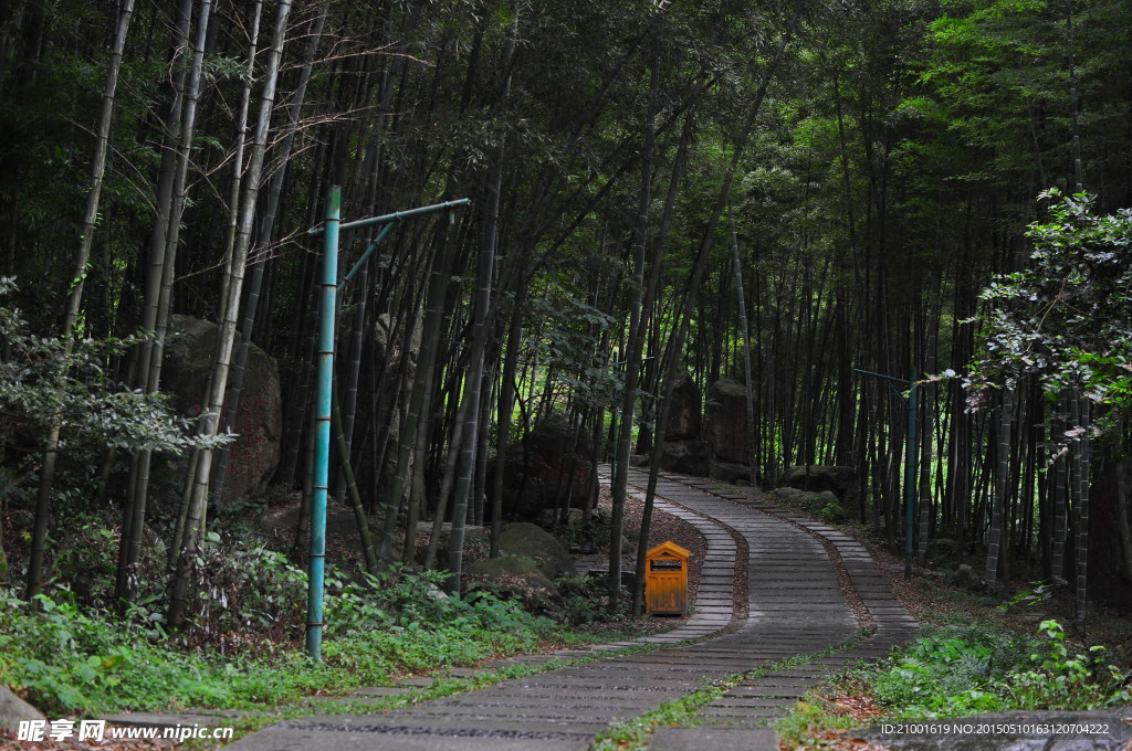 竹林路