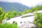 竹林