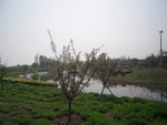 无锡太湖湿地公园