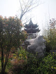 湿地公园