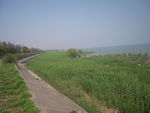 太湖湿地