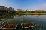 东湖公园