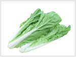 小炒白菜