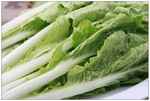 杭白菜