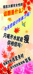 雅芳美容