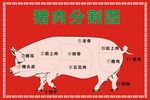 猪结构图