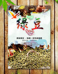 绿豆海报