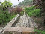 公园小路