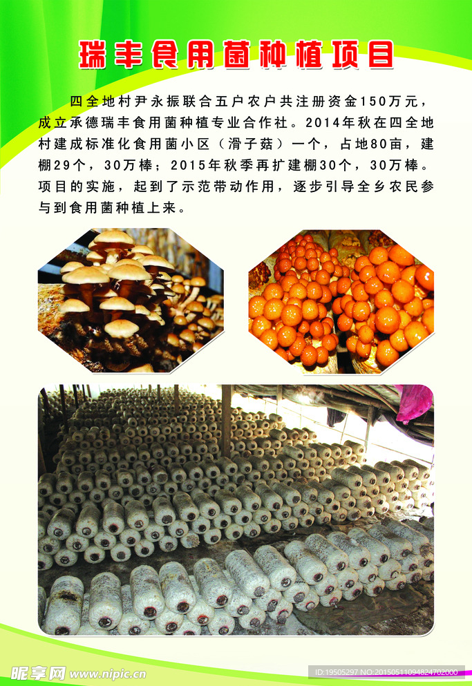 食用菌
